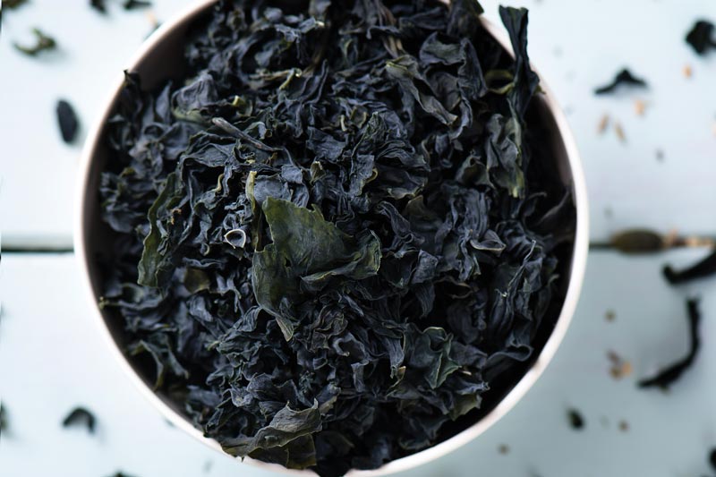 Seaweed Seaweed Season
