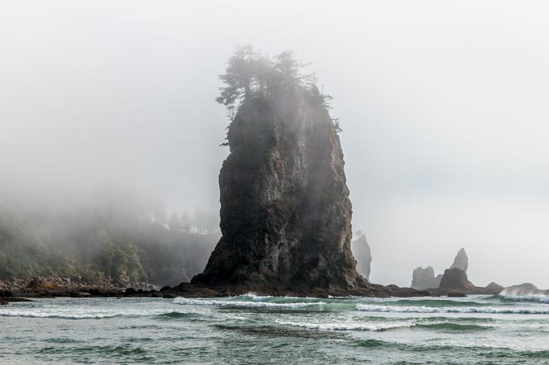 Surf La Push